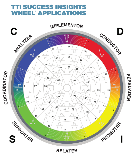 How do I Interpret the Success Insights® Wheel?